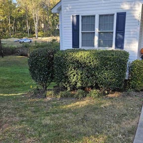 Bush Trimming by R n B Cleaning reviewed on July 14, 2022
