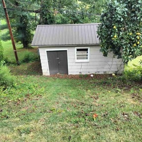 Weeding by Bright's Hauling and Lawncare reviewed on May 7, 2025