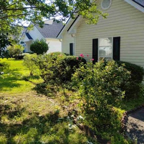 Bush Trimming by Foehsers Lawn Care reviewed on July 30, 2022