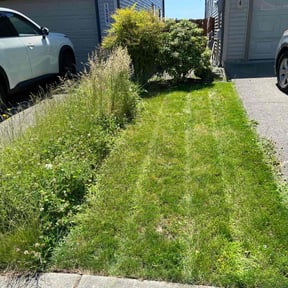 Cleanups by Trusted Trims, Lawn Maintenance Professional reviewed on July 20, 2020