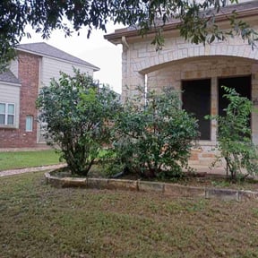 Bush Trimming by The Lawn Care Guy reviewed on July 8, 2021