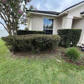 Bush Trimming by Primos  Grow&amp;Mow reviewed on July 12, 2025