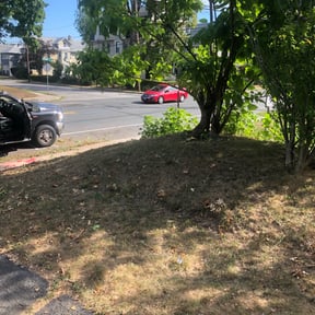 Landscaping by Revolution Lawn and Fertilization reviewed on April 22, 2022