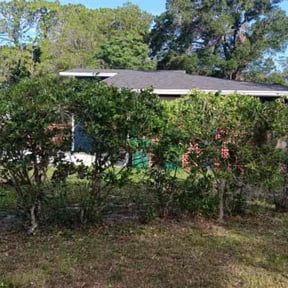 Bush Trimming by green glance lawn care reviewed on June 27, 2022