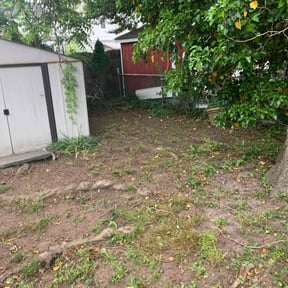 Cleanups by Rucker’s Lawn Care reviewed on June 1, 2022