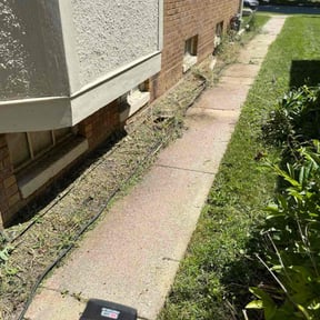 Weeding by S&S Lawn Care reviewed on November 7, 2023