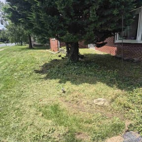 Cleanups by Moreno landscaping reviewed on April 11, 2025