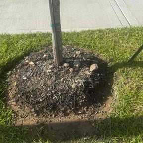 Flower Bed Weeding by Roger Kumler reviewed on June 9, 2022