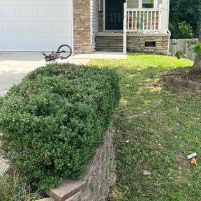 Bush Trimming by Green Earth Lawn and snow LLC reviewed on June 9, 2022