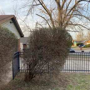 Bush Trimming by J&amp;E Lawn care reviewed on September 26, 2024