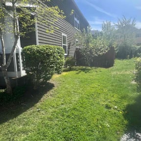 Bush Trimming by Peninsular lawn care llc reviewed on August 30, 2021