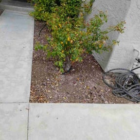 Weeding by Schlener Lawn Care reviewed on July 15, 2022