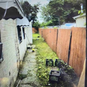 Weeding by Murray's Irish eyes lawn service reviewed on May 9, 2022