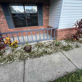 Flower Bed Weeding by Basic lawn care reviewed on July 5, 2022