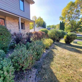 Bush Trimming by Big Red Landscaping LLC reviewed on July 17, 2022