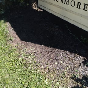 Weed Pulling by Jay R reviewed on July 23, 2025