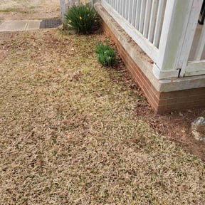 Flower Bed Weeding by Scotton landscaping reviewed on July 10, 2022