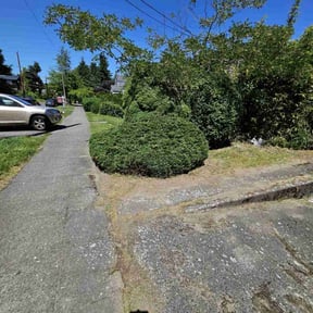 Bush Trimming by Sliced Lawn Care LLC reviewed on June 28, 2023