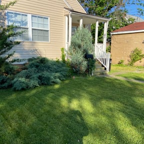 Leaf Removal by Elite Landscaping reviewed on November 18, 2024