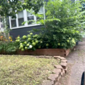 Weeding by Texas Landscape reviewed on July 12, 2022