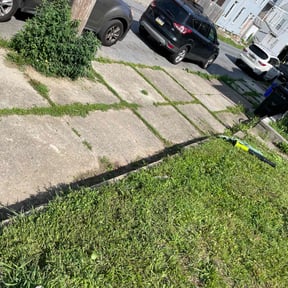 Leaf Removal by kumler lawn care reviewed on August 13, 2020