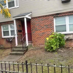 Leaf Removal by soul paseo company reviewed on May 10, 2022