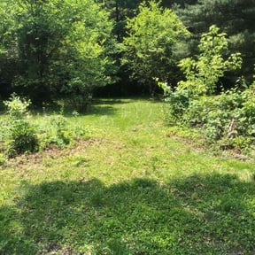 Cleanups by Cutter's reviewed on July 13, 2022