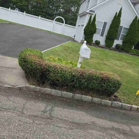 Bush Trimming by ESPINOSA JE LANDSCAPING LLC reviewed on June 29, 2022