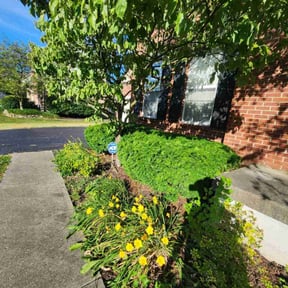 Bush Trimming by Jay R reviewed on May 15, 2025