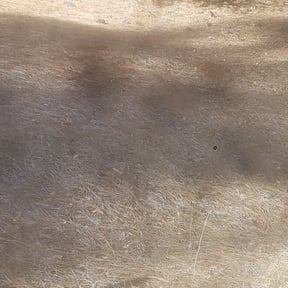 Cleanups by Tommy T's Quick Qlips reviewed on May 19, 2025