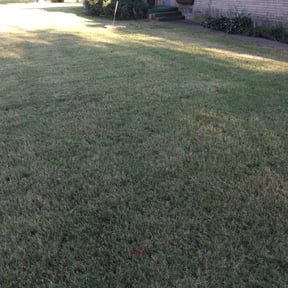 Bush Trimming by Joe's Tree &amp; Lawn Services reviewed on November 5, 2019