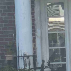 Leaf Removal by Early Bird Lawn Care LLC reviewed on June 11, 2022