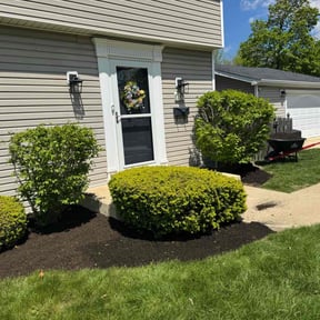 Mulching by S&R Lawn Care reviewed on June 14, 2022