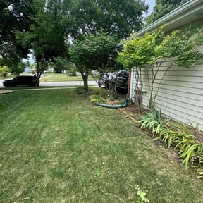 Bush Trimming by Dallas Enterprise LLC Lawn Care Services reviewed on July 6, 2022