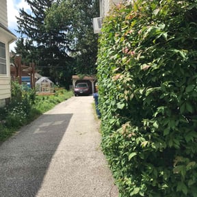 Leaf Removal by Driver Lawn Service reviewed on July 21, 2022