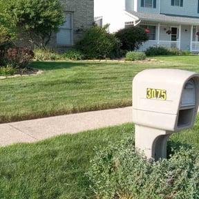 Bush Trimming by David’s Lawn Service reviewed on July 22, 2020