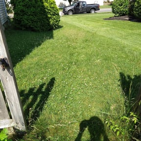 Bush Trimming by Diskin Landscape reviewed on July 18, 2022