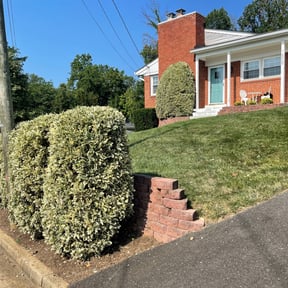 Bush Trimming by Greg's gardens reviewed on October 24, 2024