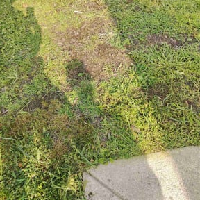 Flower Bed Weeding by Jay Landscaping reviewed on May 10, 2022