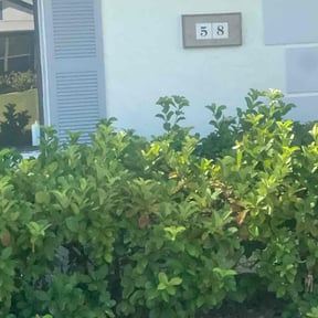 Bush Trimming by AJG Renovation &amp; Landscaping reviewed on March 31, 2025