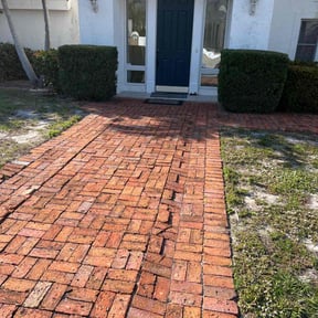 Bush Trimming by Truleaf landscaping reviewed on July 12, 2025