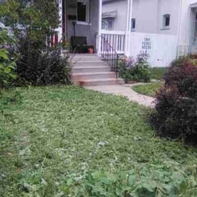Cleanups by Cleancut Landscaping reviewed on April 27, 2025