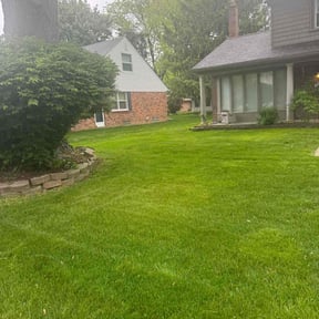 Leaf Removal by Finley's Lawn Cuts reviewed on July 1, 2021