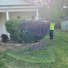 Bush Trimming by Chuyin's Lawn Care LLC reviewed on July 18, 2022