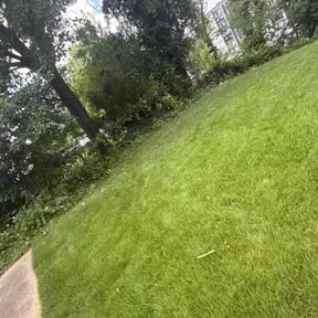 Bush Trimming by Gary' s Lawn Care Service reviewed on May 20, 2025