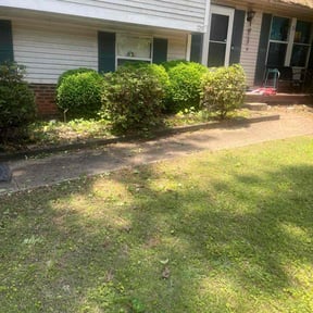 Bush Trimming by David's Pool & Lawn Service reviewed on August 30, 2024
