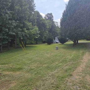 Bush Trimming by Gary Wright landscaping reviewed on April 26, 2022