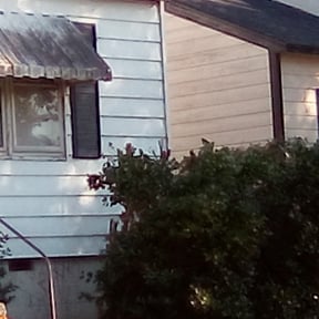 Bush Trimming by 4C's Lawn Care LLC reviewed on June 3, 2025