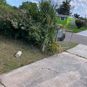 Bush Trimming by Tjs lawn care LLC, reviewed on April 26, 2022