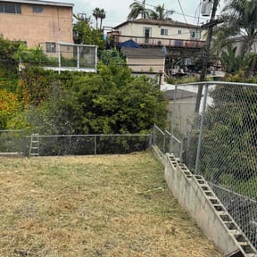 Cleanups by Mike’s lawn care reviewed on July 22, 2022